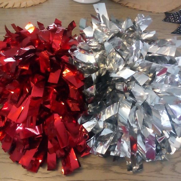 Champions In Motion Cheer poms level 1/2 - Picture 2 of 2